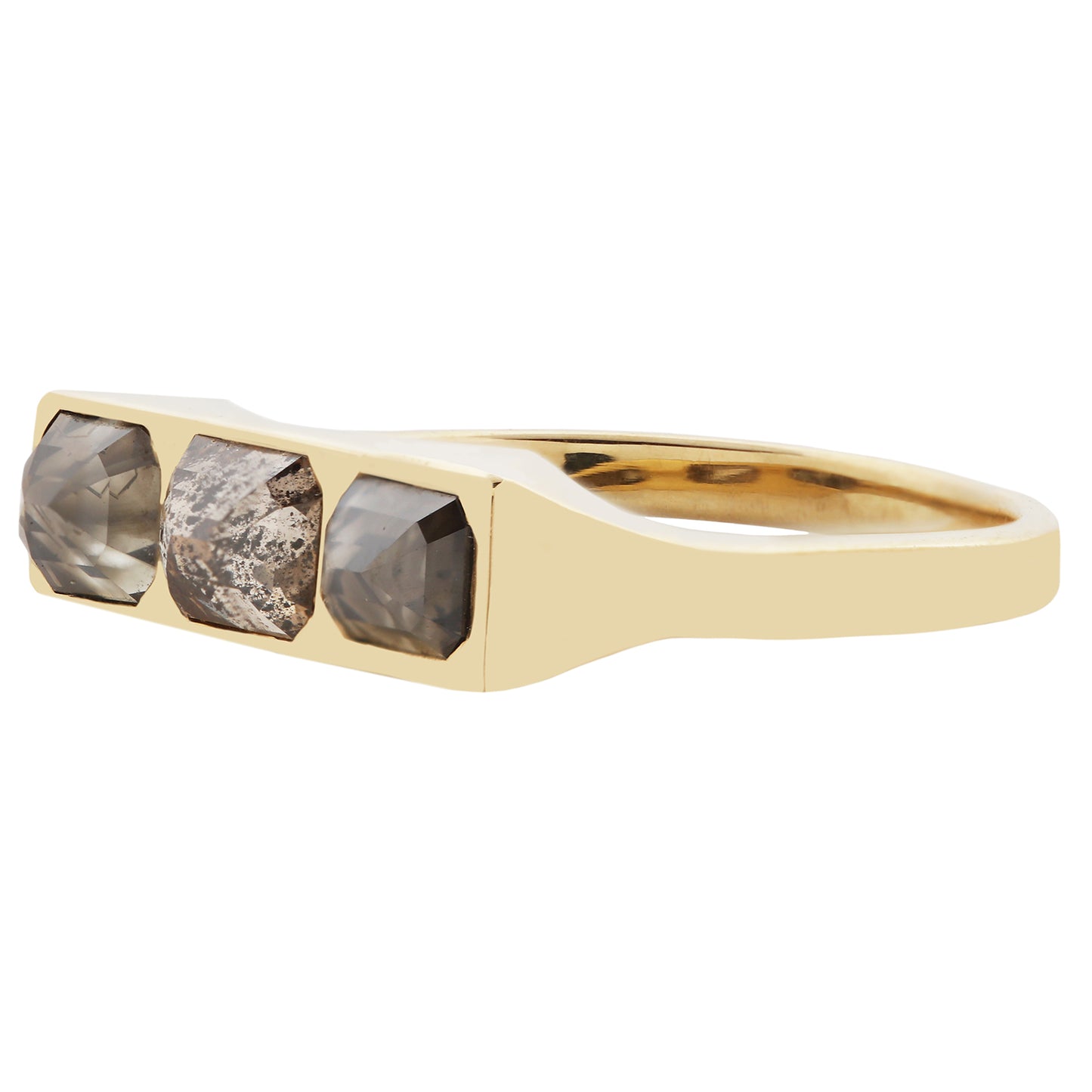 Desert Horizon Guardian Bar Ring