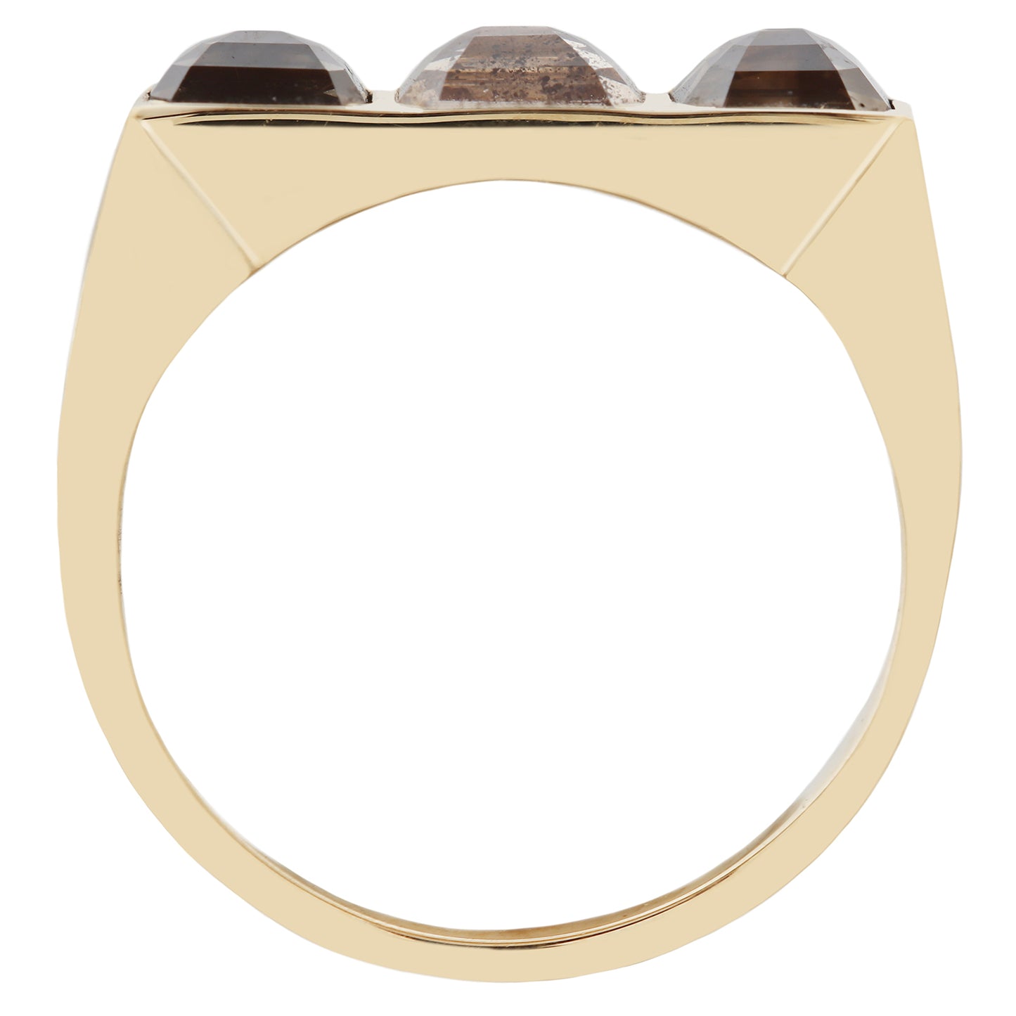 Desert Horizon Guardian Bar Ring